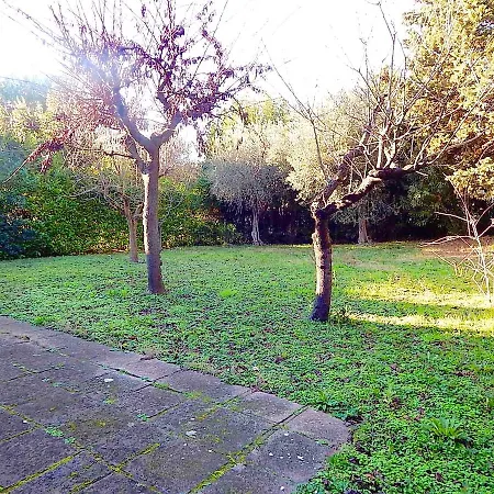 S164 - Sirolo, Meravigliosa Con Giardino * Sirolo